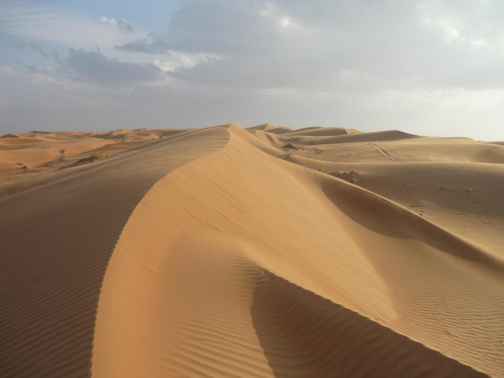 Desert Retreat Camp Al Wasil Bagian luar foto