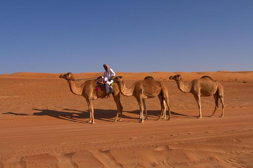 Desert Retreat Camp Al Wasil Bagian luar foto